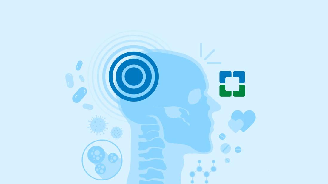 Zabarnyi Fernandez PSG Search: Understanding Irrelevant Results